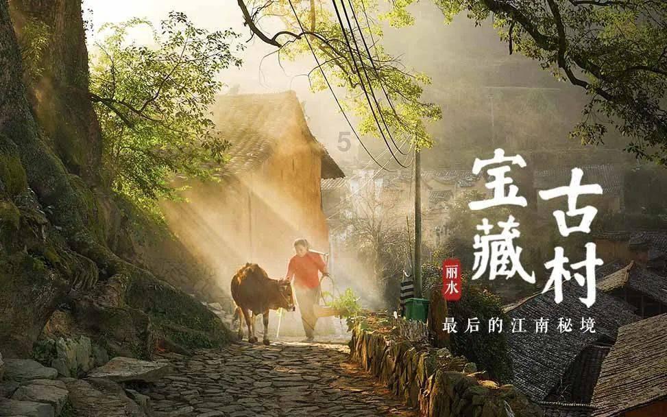 救援紫色生物