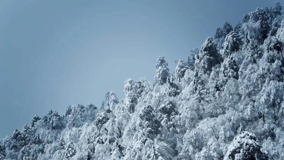 无限翻滚小球