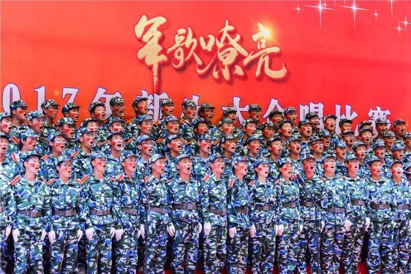 救援淘气的小狗